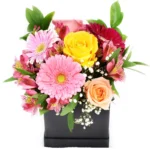 Цветы в коробке Робкая надежда